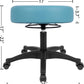 17" Blue Table Height Adjustable All-Purpose Stool (Self Brake Caster)